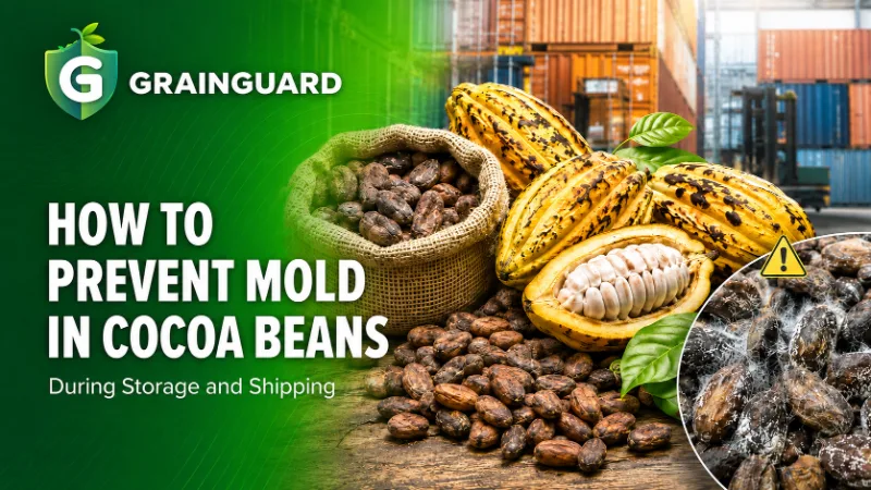 ¿Cómo prevenir el moho en los granos de cacao durante el almacenamiento y envío?