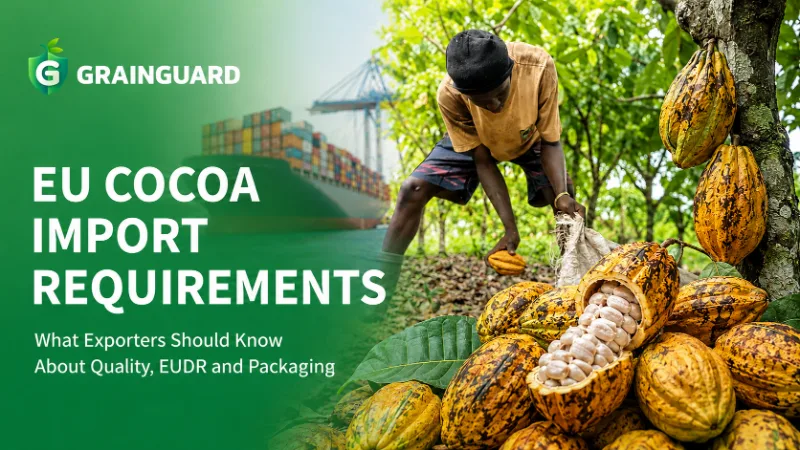 Requisitos de importación de cacao de la UE Lo que los exportadores deben saber sobre calidad, EUDR y embalaje