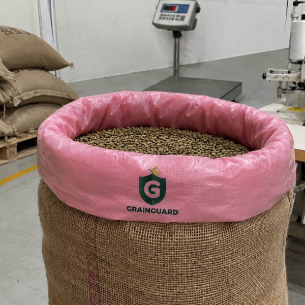 Revestimiento hermético de yute para envasado de granos de café Revestimiento hermético de yute para envasado de granos de café